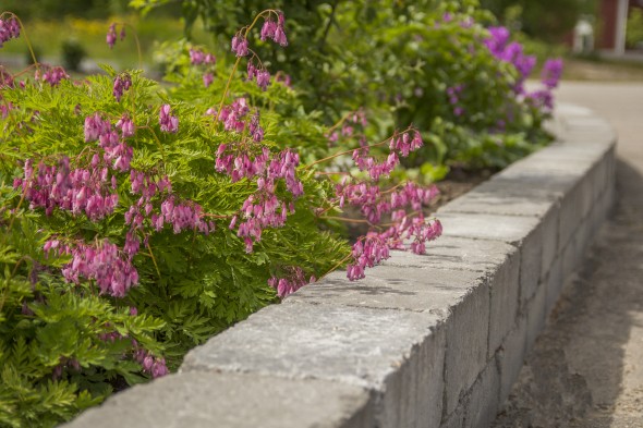 Mur blokk Labyrint Maxi 35x21x14cm